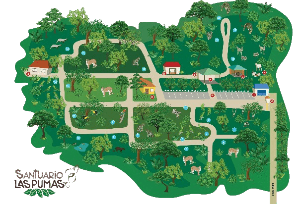 https://pumas.nyc3.digitaloceanspaces.com/a3672e5779c4a051d6b584ca96fb55c9.png
