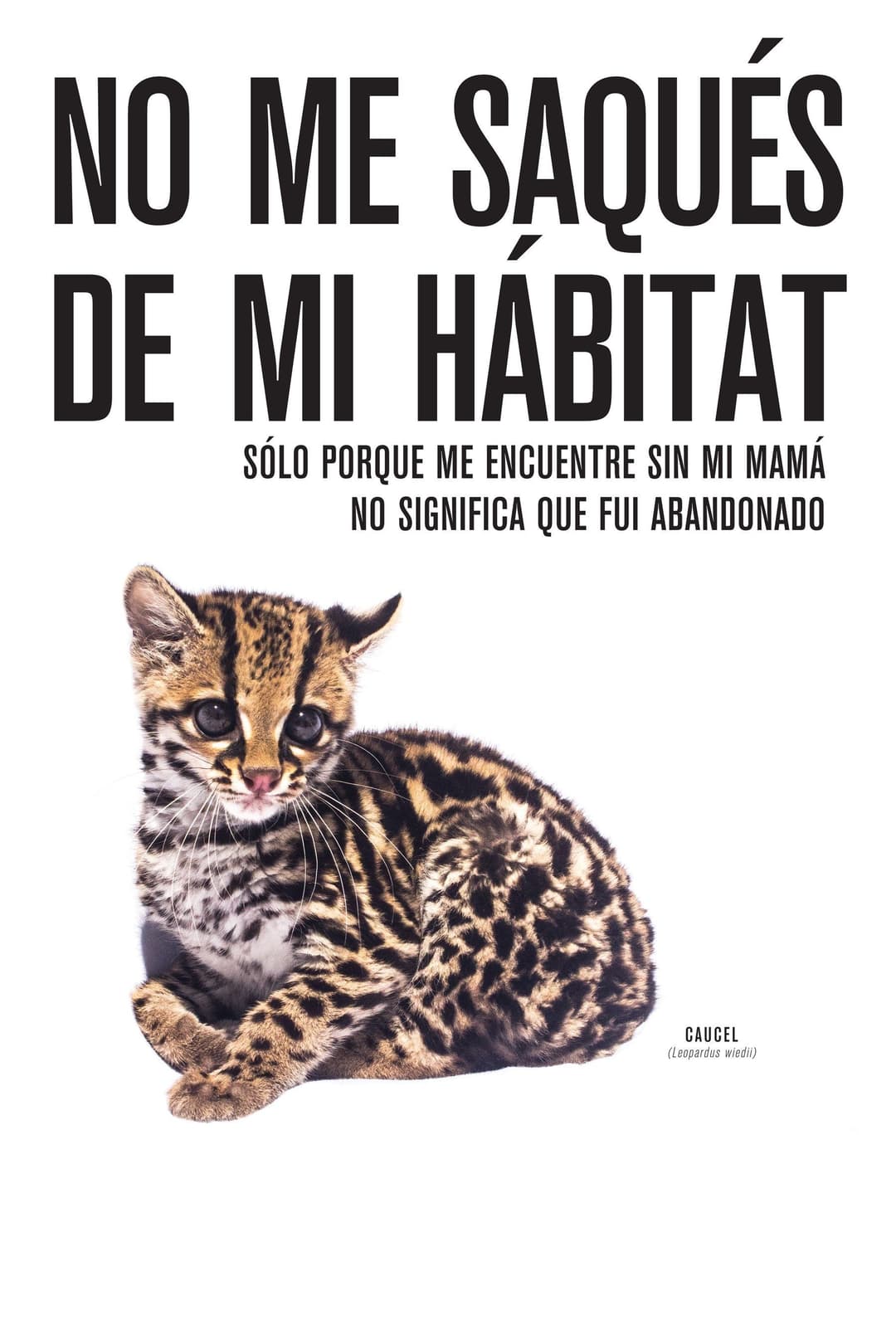 https://pumas.nyc3.digitaloceanspaces.com/d0540b22240f1324693d15cb2581476e.jpg